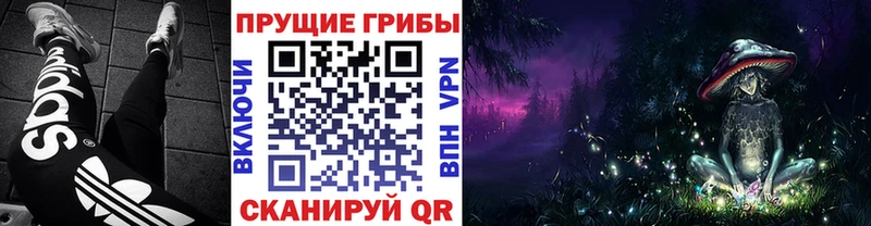 сколько стоит  Ульяновск  Псилоцибиновые грибы мицелий 